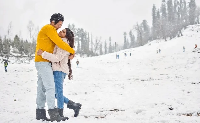 Awesome Himachal Honeymoon Vacay.