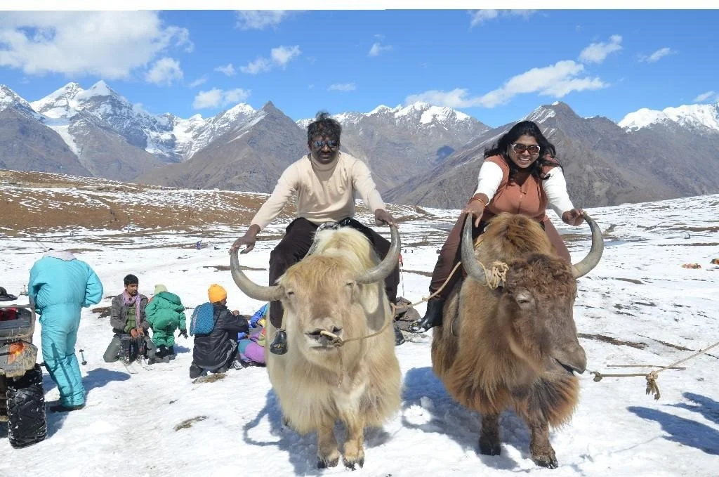 Splendid Shimla, Kullu & Manali.